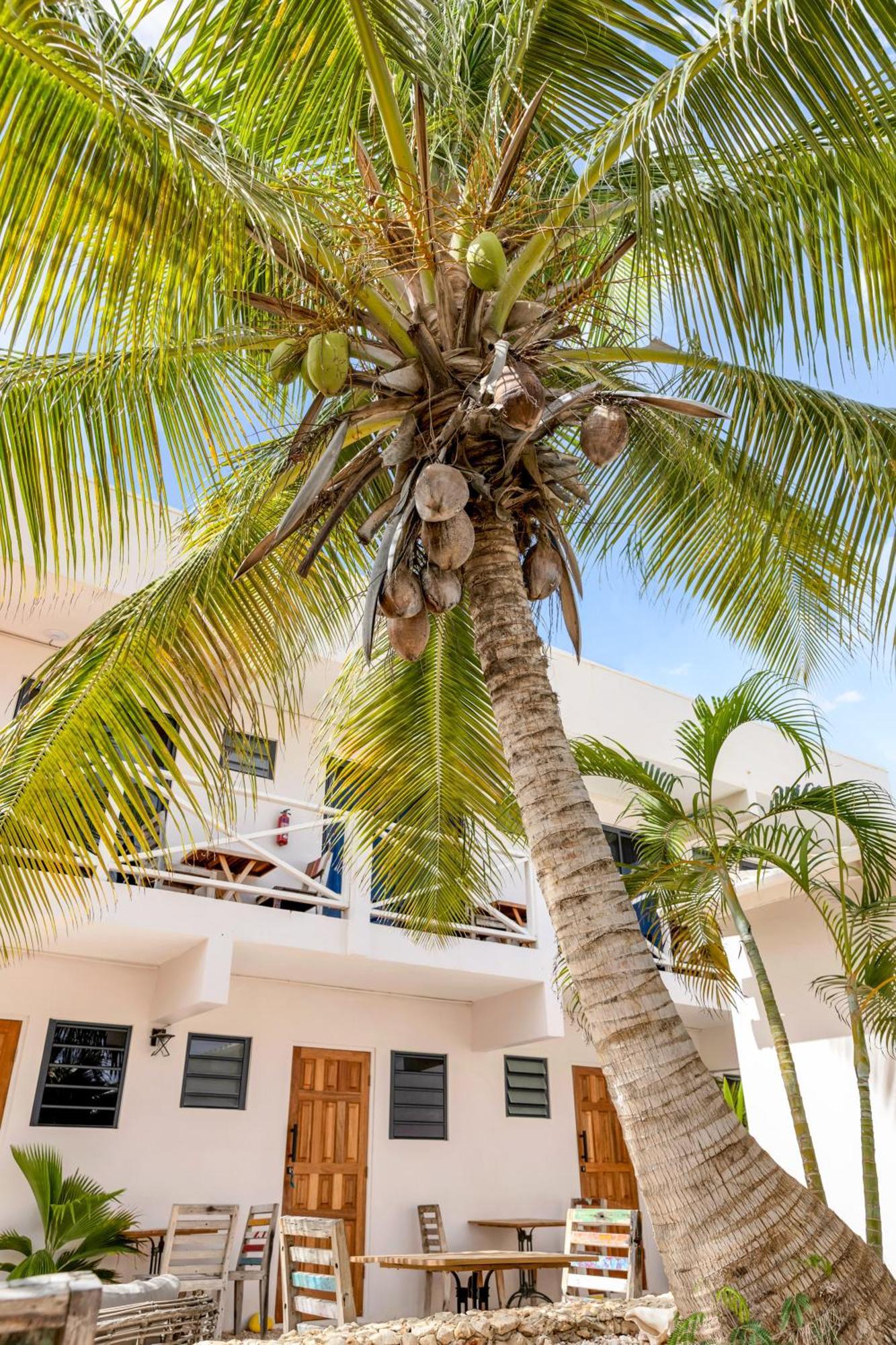 Hotel The Hut Bonaire à Playa Extérieur photo